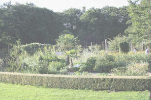 Apothekergarten