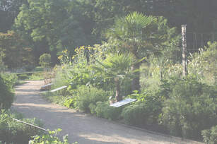 Apothekergarten Foto